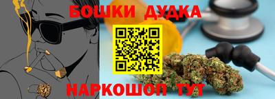 шишки Кимры